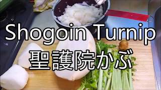 Shogoin Turnip 聖護院かぶの電子レンジで簡単「蕪蒸し風スープ」と「かぶの茎の煮物」Japanese home cooking Turnip soup and turnip stew [upl. by Ihp]