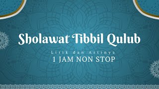 Sholawat Penyembuh Sakit  Sholawat Tibbil QulubSyifa Full 1 Jam Bersholawat [upl. by Nivrag661]