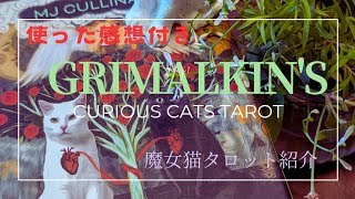 【タロット紹介】グリマルキン キュリアスキャット GRIMALKINS CURIOUS CAT TAROT [upl. by Lednar]