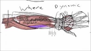 Wrist Tendonitis Symptoms Basics  What Actually Causes Them [upl. by Ettenrahc]