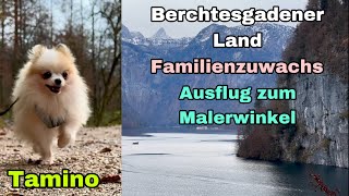 Berchtesgadener Land  Familienzuwachs Tamino am Aussichtspunkt Malerwinkel Königssee [upl. by Bahner]