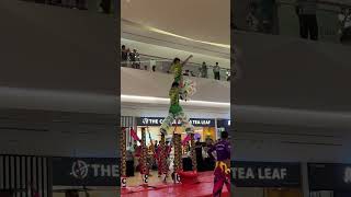 Practice session  Lion Dance Championship 2024 [upl. by Demb999]