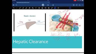 Pharmacokinetics 4 Part 1 023 [upl. by Anelys51]