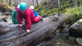 Ghyll Scrambling  Lake District Calvert Trust [upl. by Dorcea793]