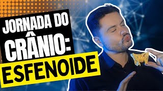 Anatomia do Osso Esfenoide [upl. by Cassil369]