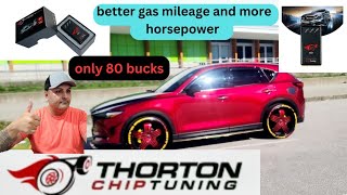 THORTON CHIP TUNING FOR ANY CAR FULL REVIEW IT DOES WORK [upl. by Maghutte]