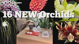 Orchids and more Orchid Haul Unboxing video [upl. by Stoneman]