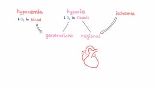 Introduction to hypoxemia [upl. by Phillip884]