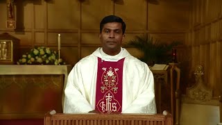 Catholic Mass Today  Daily TV Mass Wednesday May 15 2024 [upl. by Assiralk130]