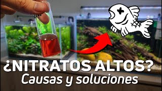 ¿Tienes Altos los Nitratos Cómo Identificar y Solucionar el Problema [upl. by Arimahs492]