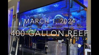 400 gallon reef update [upl. by Lona]