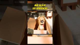 🐾Un Regalo Inesperado vean algo Emotivo  Animados short animacion movie viral short [upl. by Isis733]