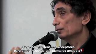 Gabor Maté Adicciones y correccionales [upl. by Rhett]