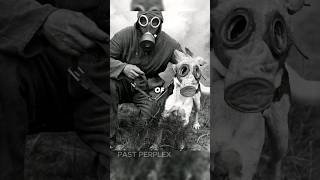 Devastating Effects Of World War I Still Felt Today shorts [upl. by Akire]