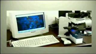 Introduction to Cytogenetics part1 [upl. by Gilberto862]