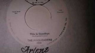 This Is Goodbye  The Ringleaderswmv [upl. by Haiacim]