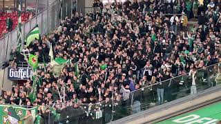 Supporters  FC Köln vs SV Werder Bremen 01  20240216 [upl. by Elletsirk666]