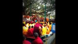 Kagyu Monlam 2010  Bodh Gaya  Mahabodhi stupa  Prayer [upl. by Longerich593]