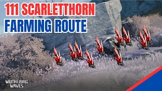 111 Scarletthorn Locations amp FARMING ROUTE with Visual Detail  Wuthering Waves [upl. by Yehs]