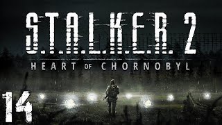 STALKER 2 Heart of Chornobyl 14 Аномальное Чутьё [upl. by Zuckerman]