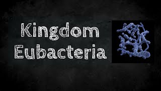 Kingdom Eubacteria [upl. by Mountford]