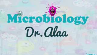 01 Microbiology Dr Alaa  General Bacteriology [upl. by Worlock383]