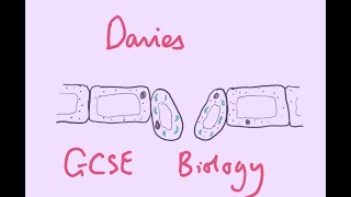 GCSE Biology 12 Osmosis [upl. by Emera]