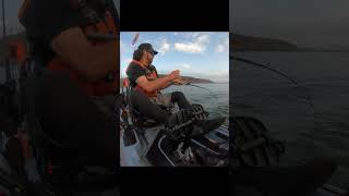 Kayak Ocean Fishing for California Halibut fishing kayakfishing Vibekayaks [upl. by Tearle]