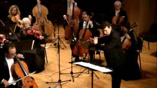 A Schibler quotElegishe Musikquot op52 for flute cello and strings [upl. by Ilenna]