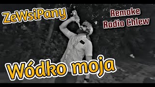 ZeWsiPany  Wódko moja Parodia Masters Żono moja Radio Chlew Remake [upl. by Banquer]