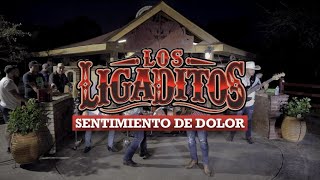 Los Ligaditos  quotSentimiento de Dolorquot En Vivo [upl. by Rogerio789]