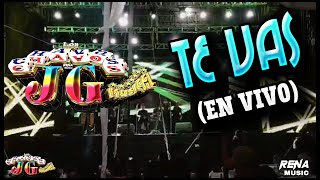 Los Chavos JG  TE VAS En Vivo [upl. by Kcirrem625]