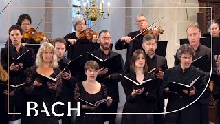 Bach  Motet Ich lasse dich nicht BWV anh 159  MacLeod  Netherlands Bach Society [upl. by Tempest11]