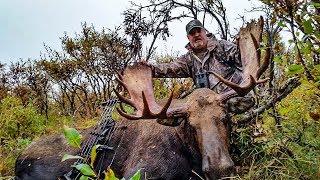 BOWHUNTING MOOSE  Alaska Yukon Hunting Adventure [upl. by Arihsaj]