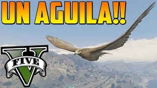 ¡¡ANDA MIRA Un Águila quot MISTERIOS GTA 5 PS4  EASTER EGG GTA 5  Localización peyotes 927 [upl. by Aro]