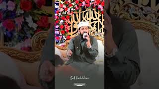 Mai TU Bura Hu Lekin Meri Laaj Hai Kis kai Haat Na Pochun ❤️ Zohaib Ashrafi Short Video [upl. by Jorin]