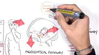 Brief Introduction to Psychosis [upl. by Enelam]