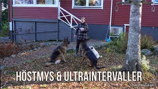 Höstfix och ultraintervaller på landet I Vlogg [upl. by Dira935]