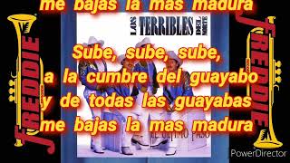 Dame tu Guayabita Los Terribles del Norte Karaoke [upl. by Nnyloj545]