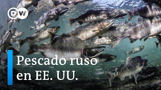 ¿Cómo se las ingenia Rusia para evitar las sanciones a su pescado [upl. by Burnie]