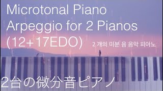 【微分音】Microtonal Piano Arpeggio for 2 Pianos 1217EDO2台のピアノのための微分音アルペジオ H Wakabayashi [upl. by Nirehtac]