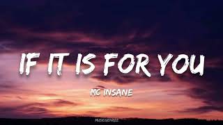 MC Insane  If it is for you Lyrics  The heal Album [upl. by Suoilenroc]