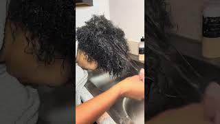 WATCH THIS TRANSFORMATION 🚨 naturalhair haircare 4cnaturalhair [upl. by Nahum]