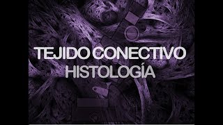 Tejido conectivo  Histología [upl. by Comethuauc793]