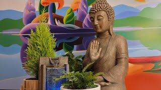 Relax  Chill  Zen Live Stream 6 [upl. by Ellis]