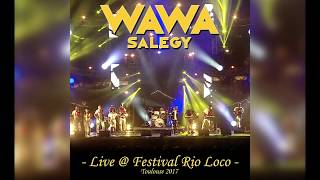 Wawa Salegy  400 Volts Live  Toulouse 2017  audio [upl. by Kasevich]