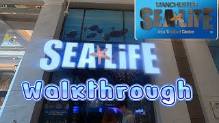 Sea Life Centre Manchester Trafford Centre Full Walkthrough  July 2022 [upl. by Jopa]