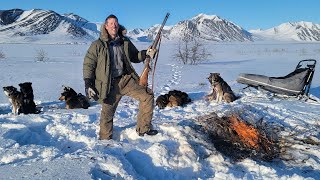 3 Days Camping Hunting and Mushing in the Arctic [upl. by Halsy]