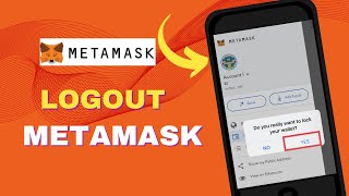 How to Logout MetaMask Account 2024 MetaMask Account Lock [upl. by Olihs]