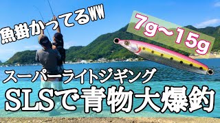 堤防からスーパーライトショアジギングで青物大爆釣 [upl. by Darwin494]